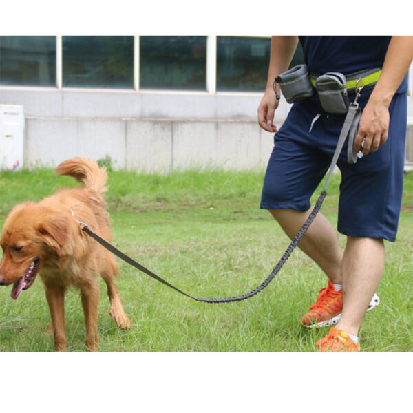 Adjustable Hands Free Dog Leash - Image 7