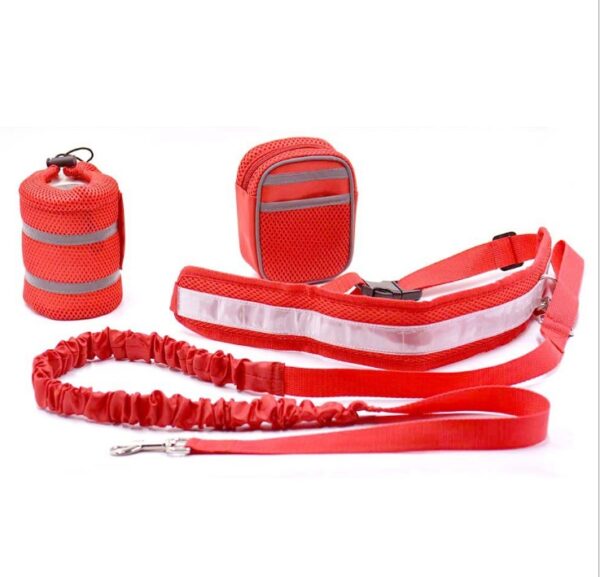 Adjustable Hands Free Dog Leash - Image 6